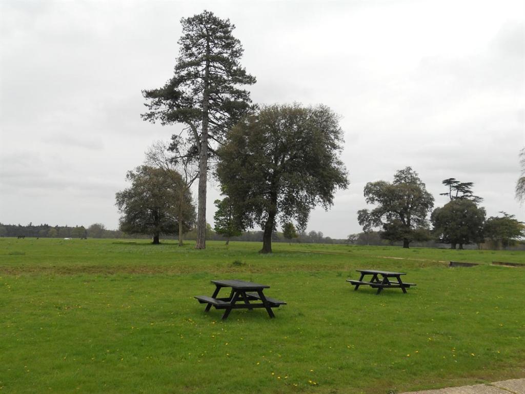 The Stables At Henham Park Bed & Breakfast Southwold Bagian luar foto