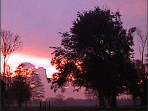 The Stables At Henham Park Bed & Breakfast Southwold Bagian luar foto